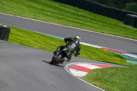 Middle Group Blue Bikes